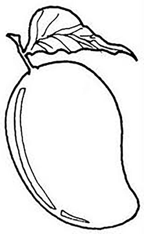 493x800 Brain Drawing Tumblr