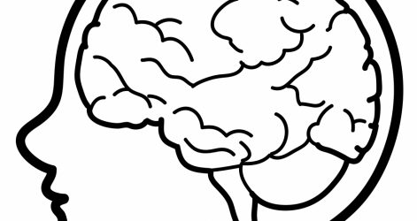 471x250 Brain Hemisphere And Drawing Human Label Simple Easy Step Outline