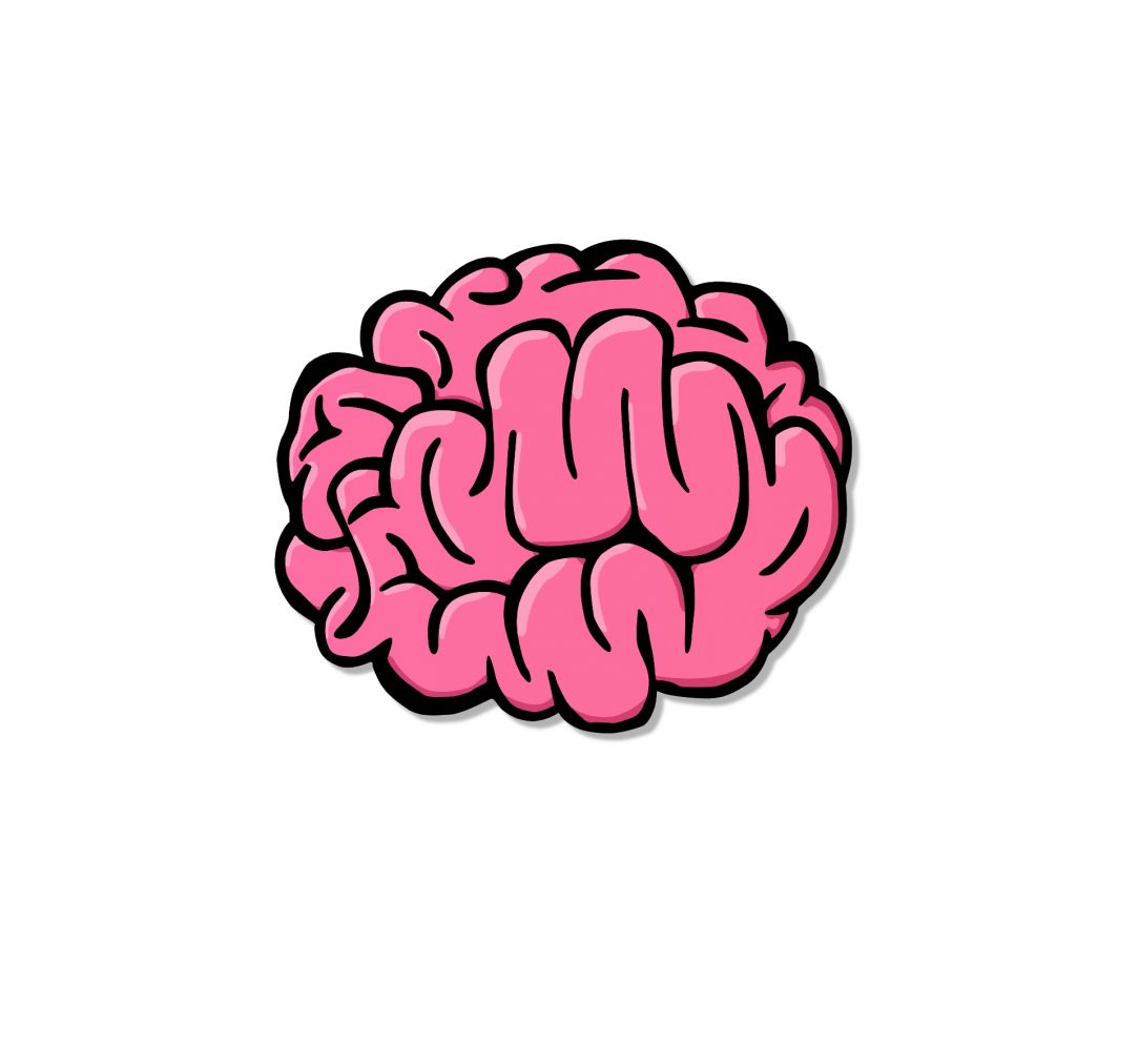 1084x1012 How To Draw A Brain Easily And Label In Illustrator Cartoon
