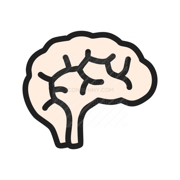 600x600 Brain Line Filled Icon