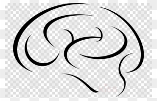 320x206 Brain Sketch Clipart Human Brain