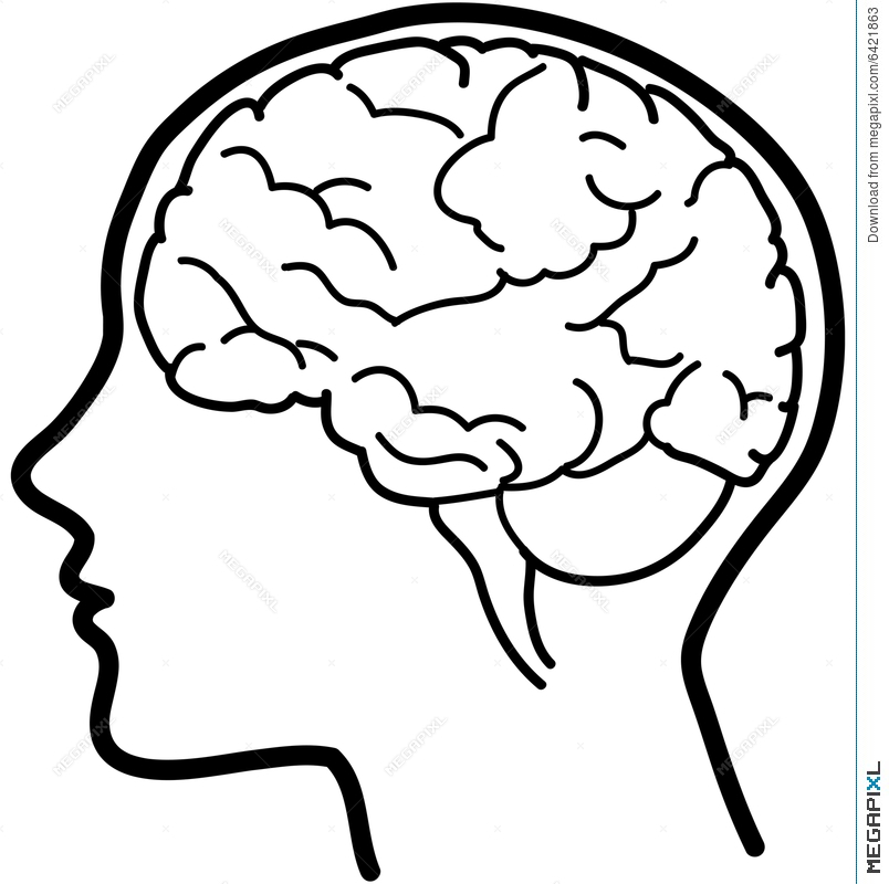 804x800 Collection Of Free Mind Clipart Brain Outline Amusement Clipart