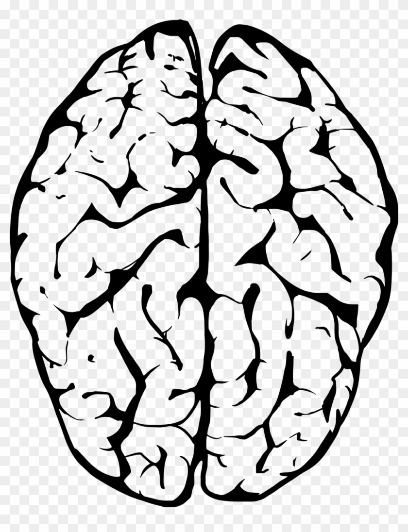 840x1096 Human Brain Png Black And White Free Human Brain Black And White