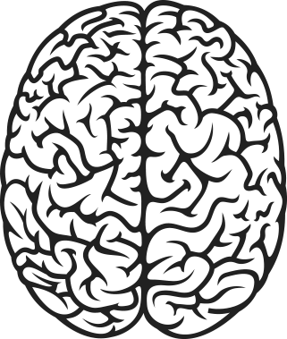 321x379 Brain Drawing