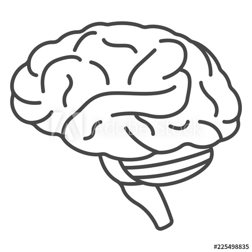 500x500 Human Bran Outline Human Brain Vector Icon For Web Design
