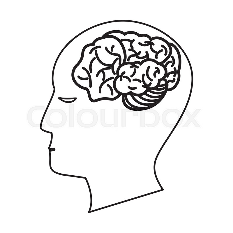 800x800 Human Head Brain Creativity Outline Stock Vector Colourbox