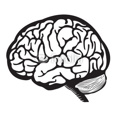 400x400 Black And White Brain Illustration Human Brain Outline Draw