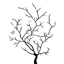 265x265 Drawing Branches Wall Transparent Png Clipart Free Download