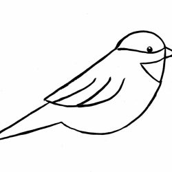 250x250 Bird Drawing Black Branch Outline Book Cartoon Simple Pencil