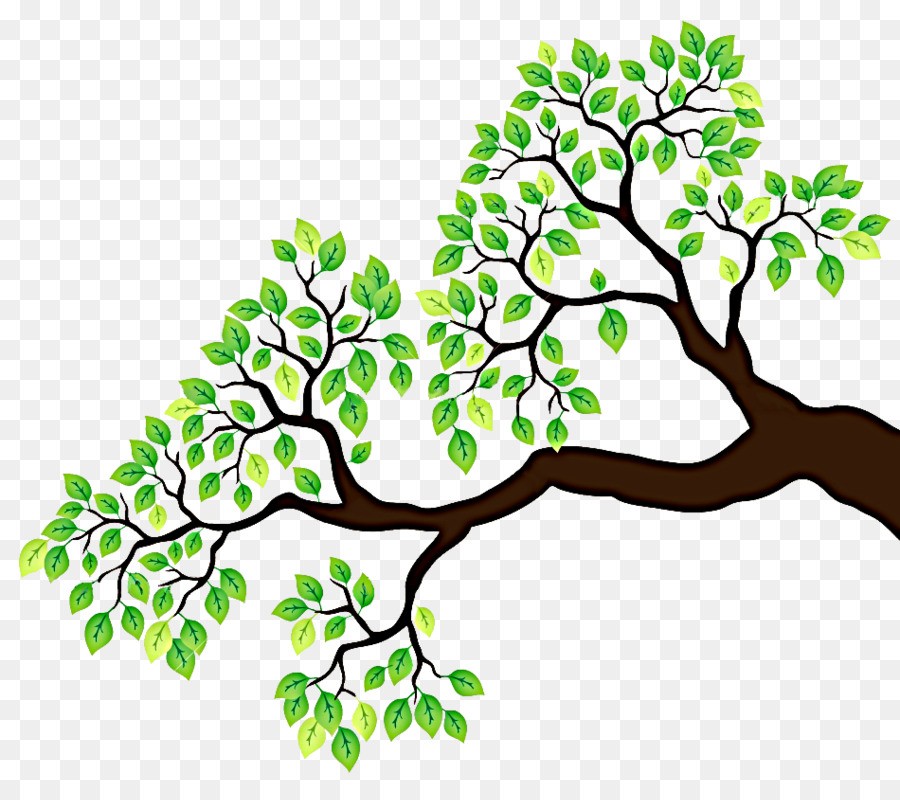 900x800 Branch Tree Drawing Clip Art Branches Clipart Png Download