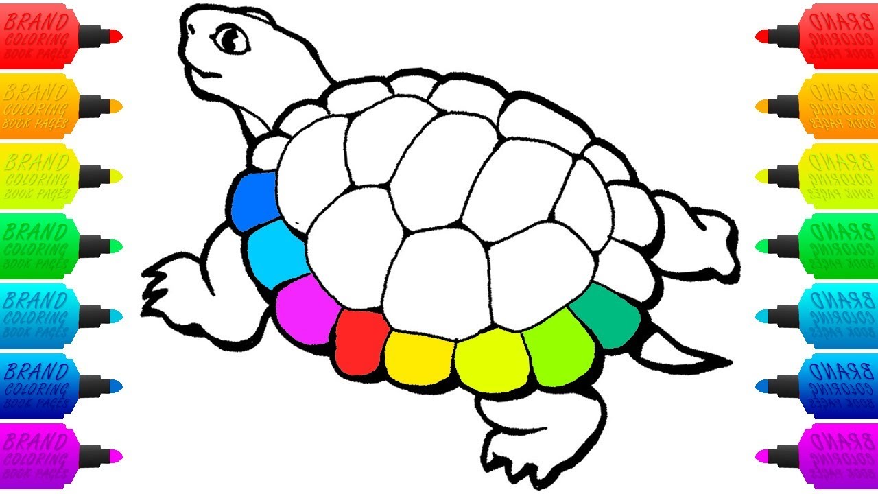 1280x720 Rainbow Turtle For Baby Drawings And Coloring Book Pages