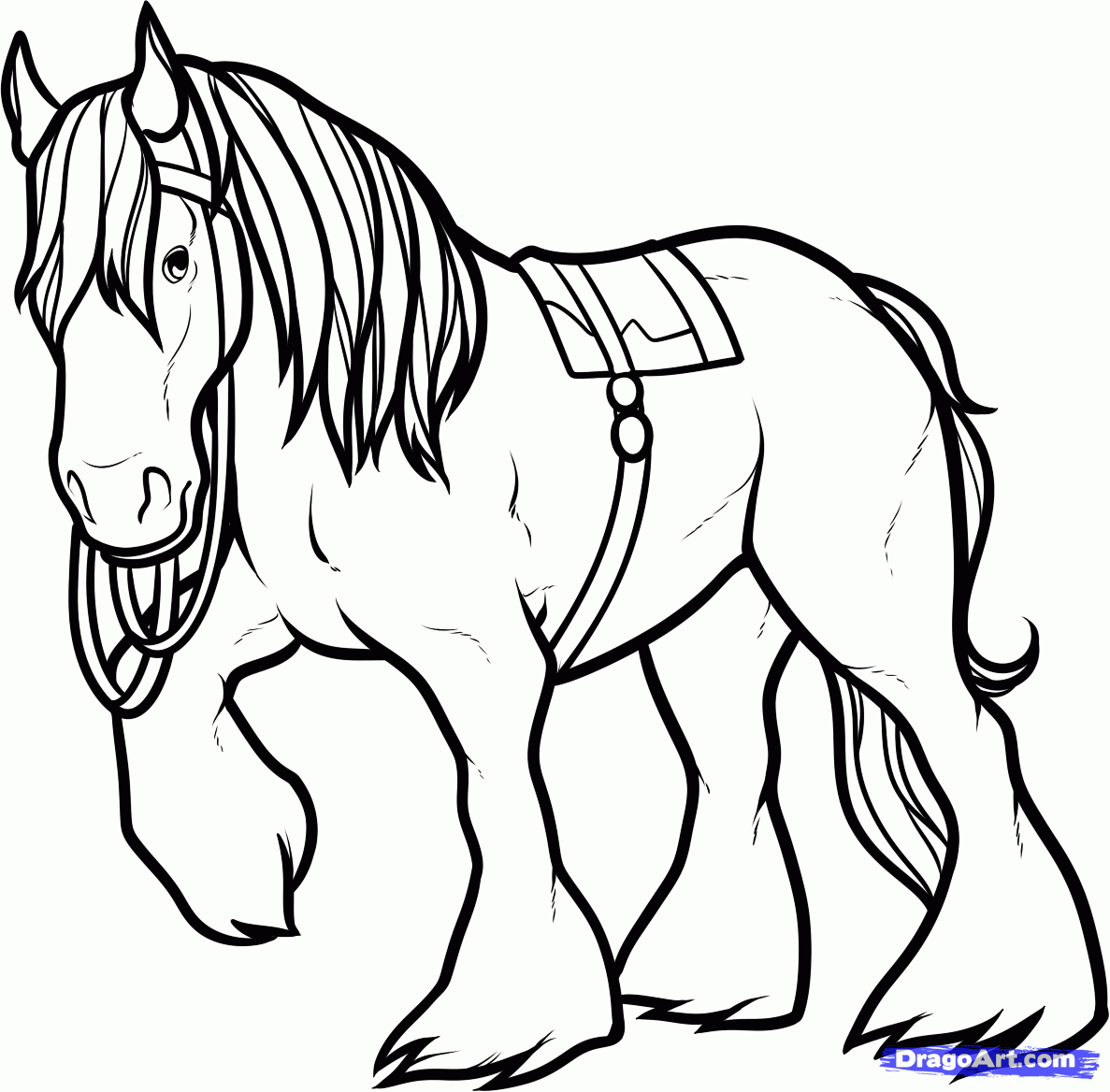 1187x1168 how to draw angus, angus the horse, brave, step
