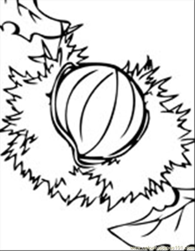 650x838 Brazil Ink T Coloring Page