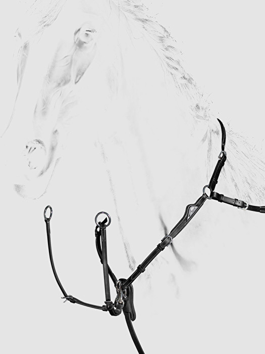 525x700 Breastplate With Removable Martingale