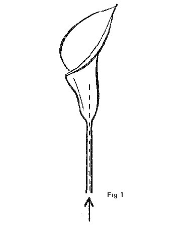 360x460 Making A Bridal Bouquet