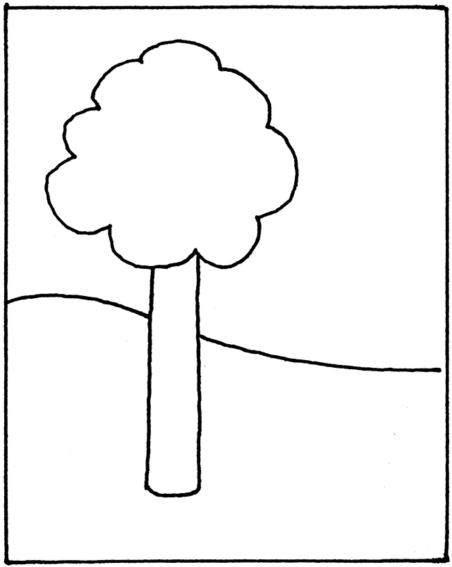 650x814 Biological Drawing A Scientific Tool For Learning