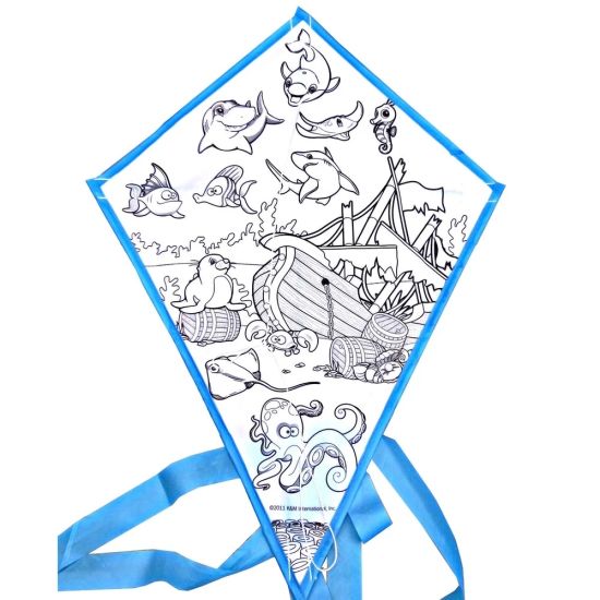 550x550 China Custom Diy Blank Hand Drawing Kite From The Kite Factory