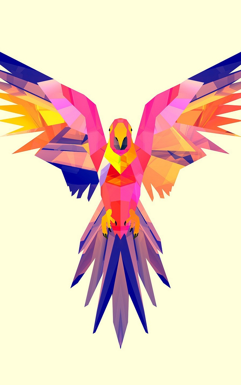 800x1280 Download Wallpaper Parrot, Vector, Drawing, Bright, Color
