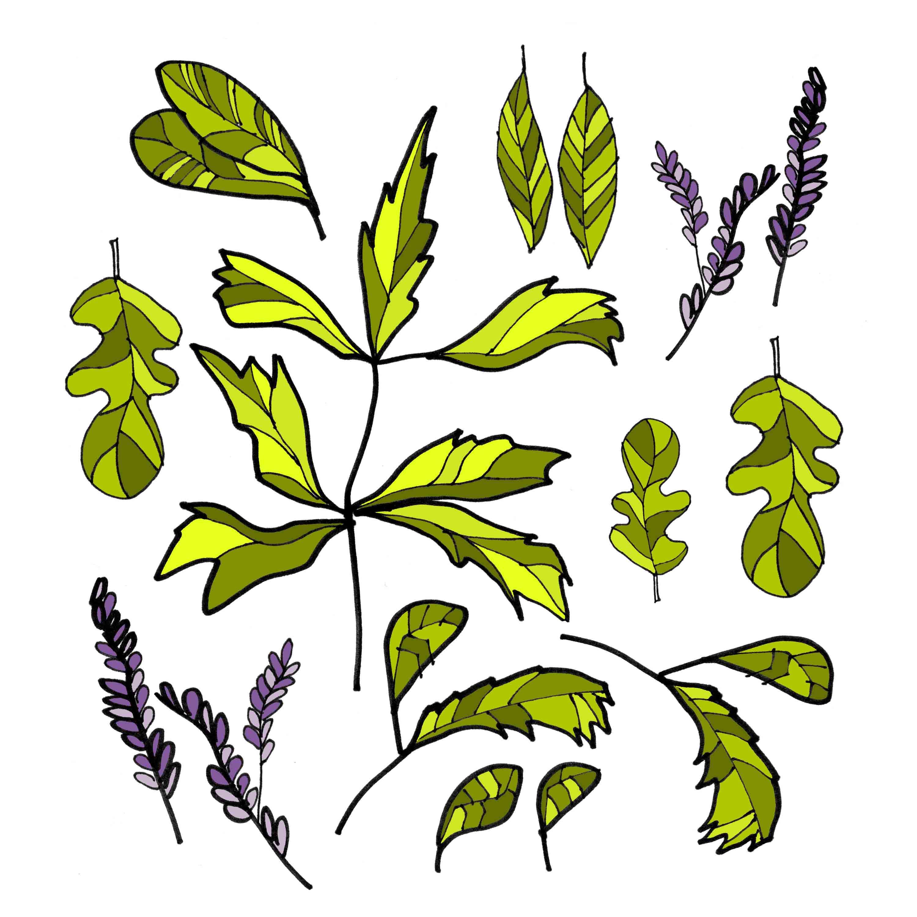 3000x3000 Drawings Archives