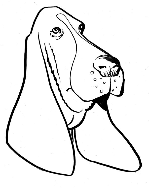 600x757 Coloring Pages Of Hound Dogs