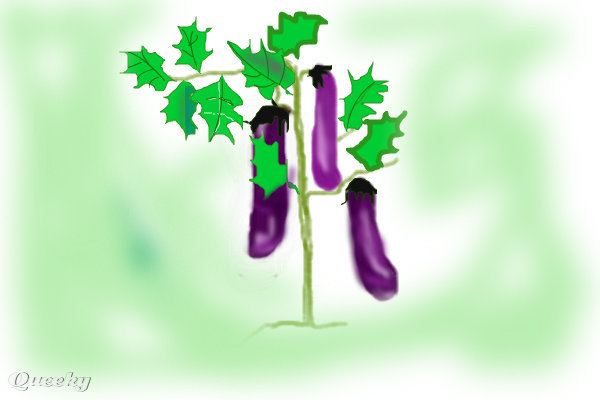 600x400 Brinjal Plant A Plants Speedpaint Drawing