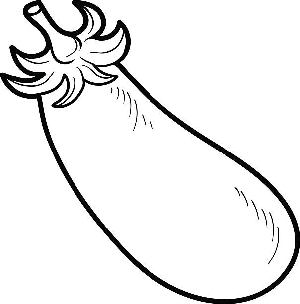 604x612 brinjal drawing for free download