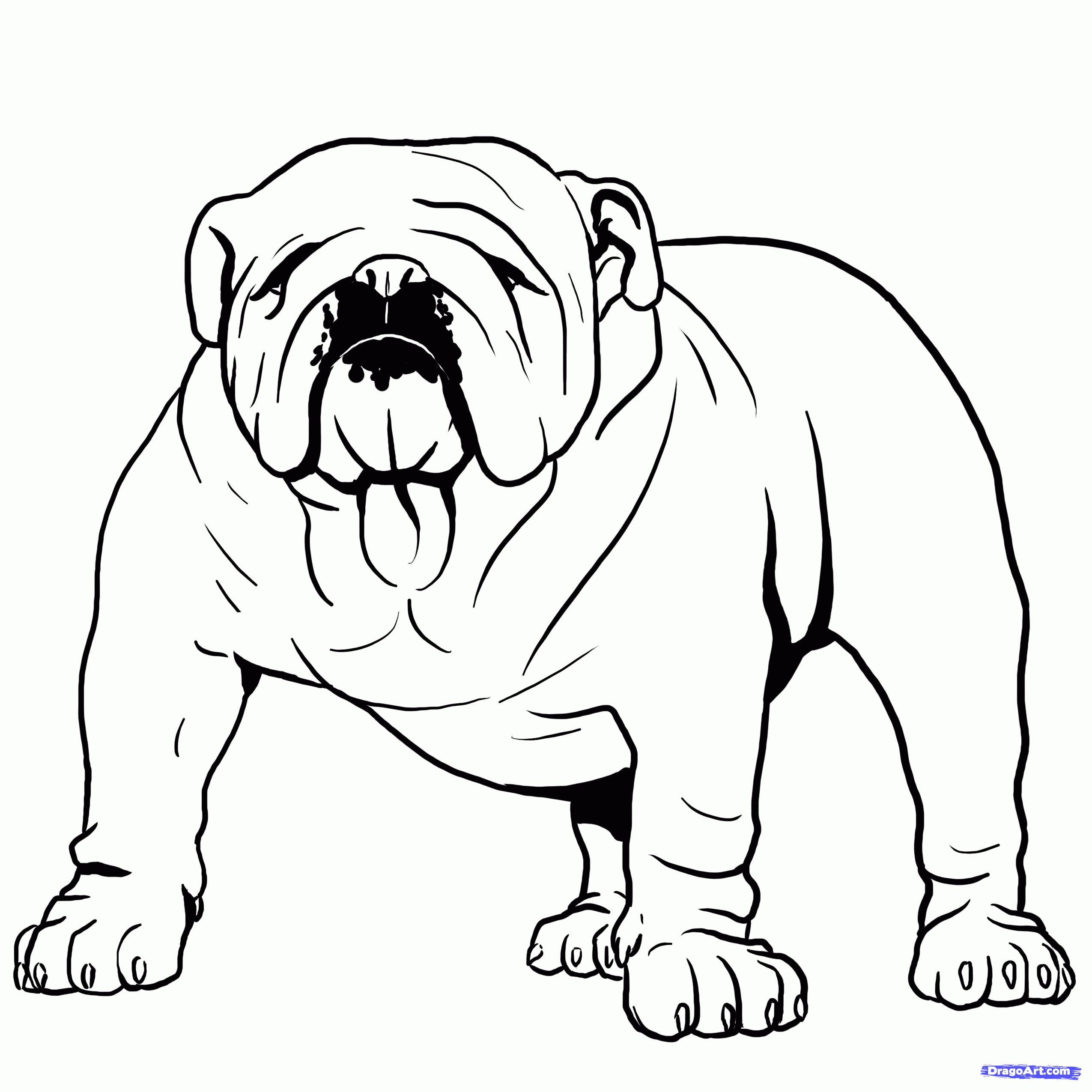 2550x2550 How To Draw A Bulldog, English Bulldog, Step