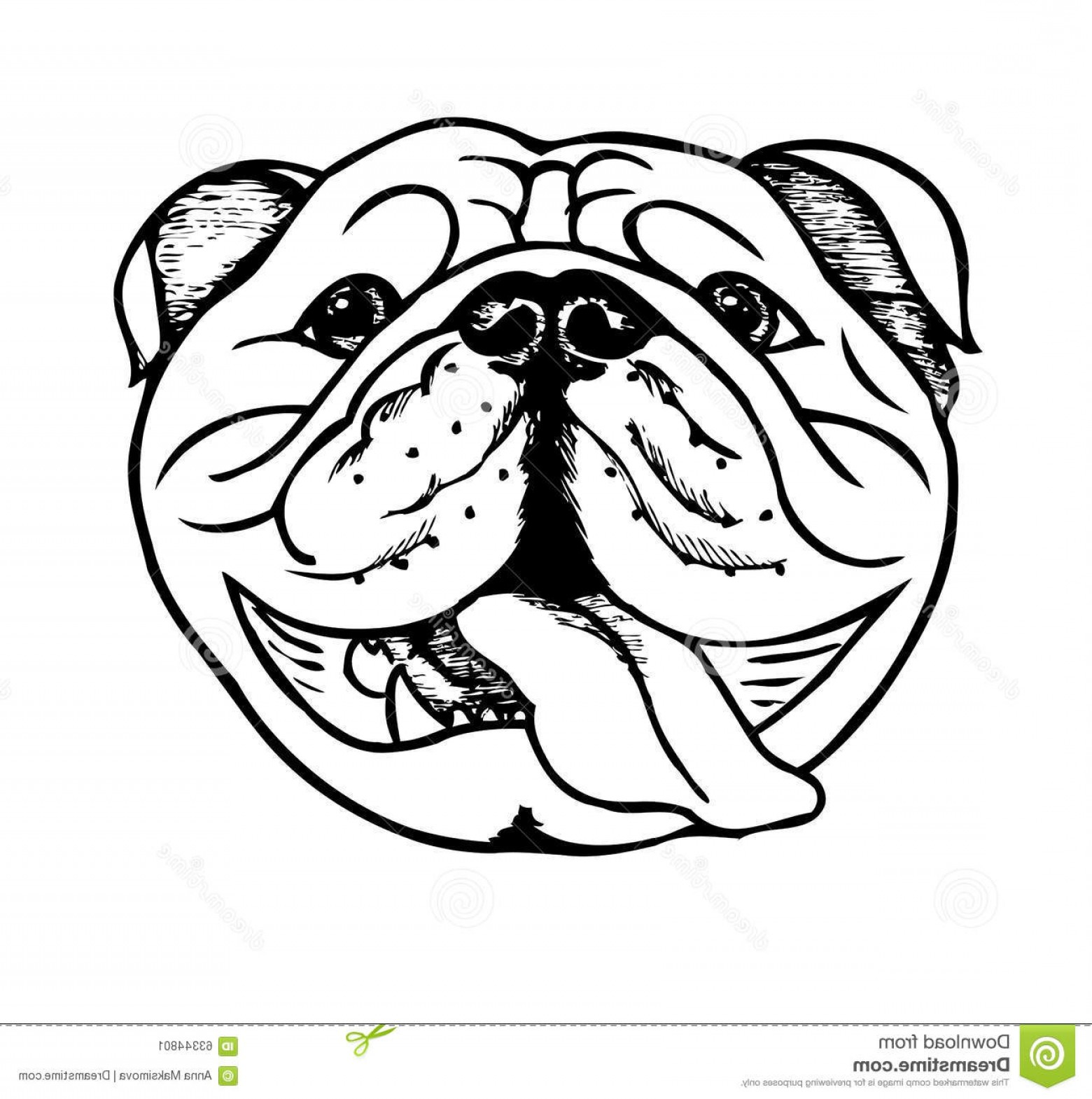 1560x1570 Stock Illustration English Bulldog Face Vector Illustration Image