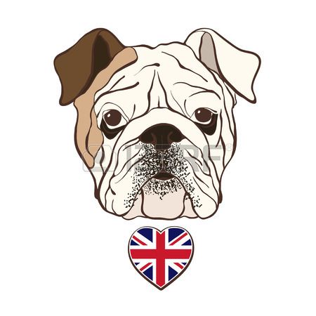 450x450 stock vector bulldog english bulldog pictures, bulldog drawing