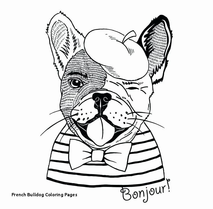 736x720 Unique British Bulldog Coloring Pages