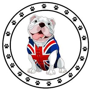 300x300 British Bulldog
