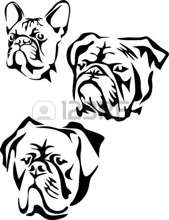 345x450 Bulldog Black And White Clipart