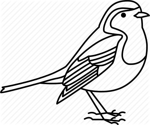 512x428 Collection Of Free Robin Drawing Shape Download On Ui Ex