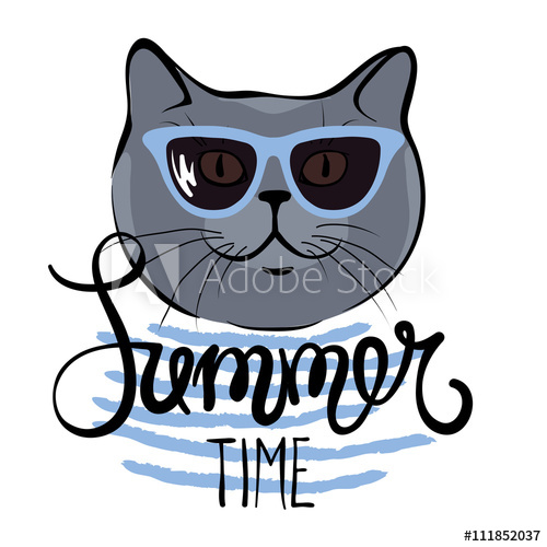 500x500 Funny Summer Hand Drawing Calligraphyritish Blue Cat