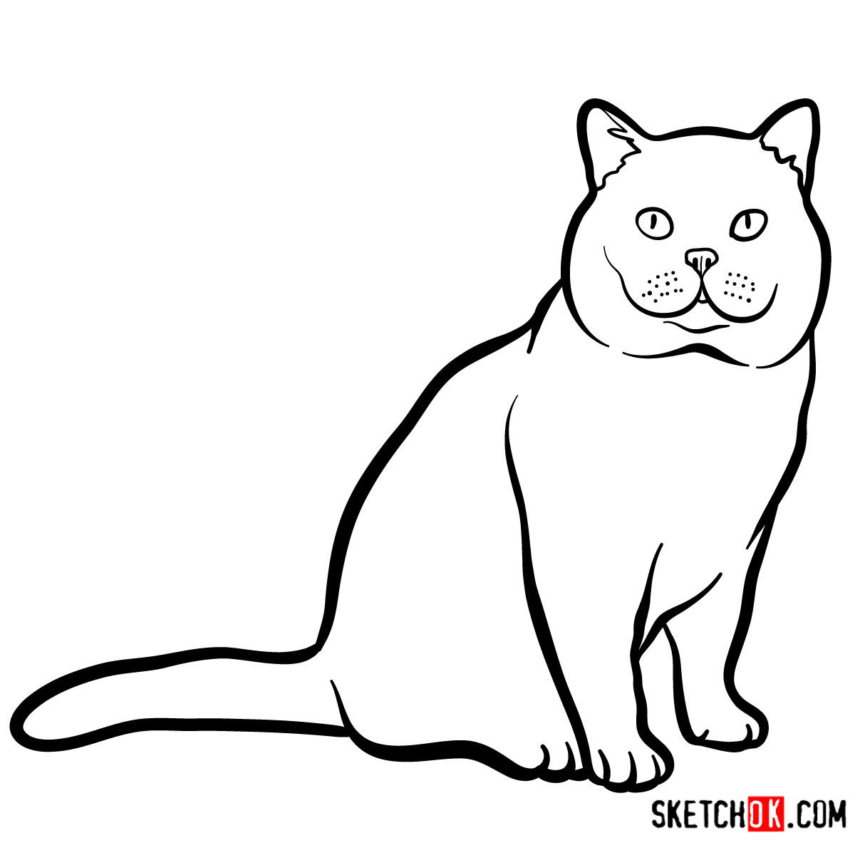 1200x1200 How To Draw The British Shorthair Cat