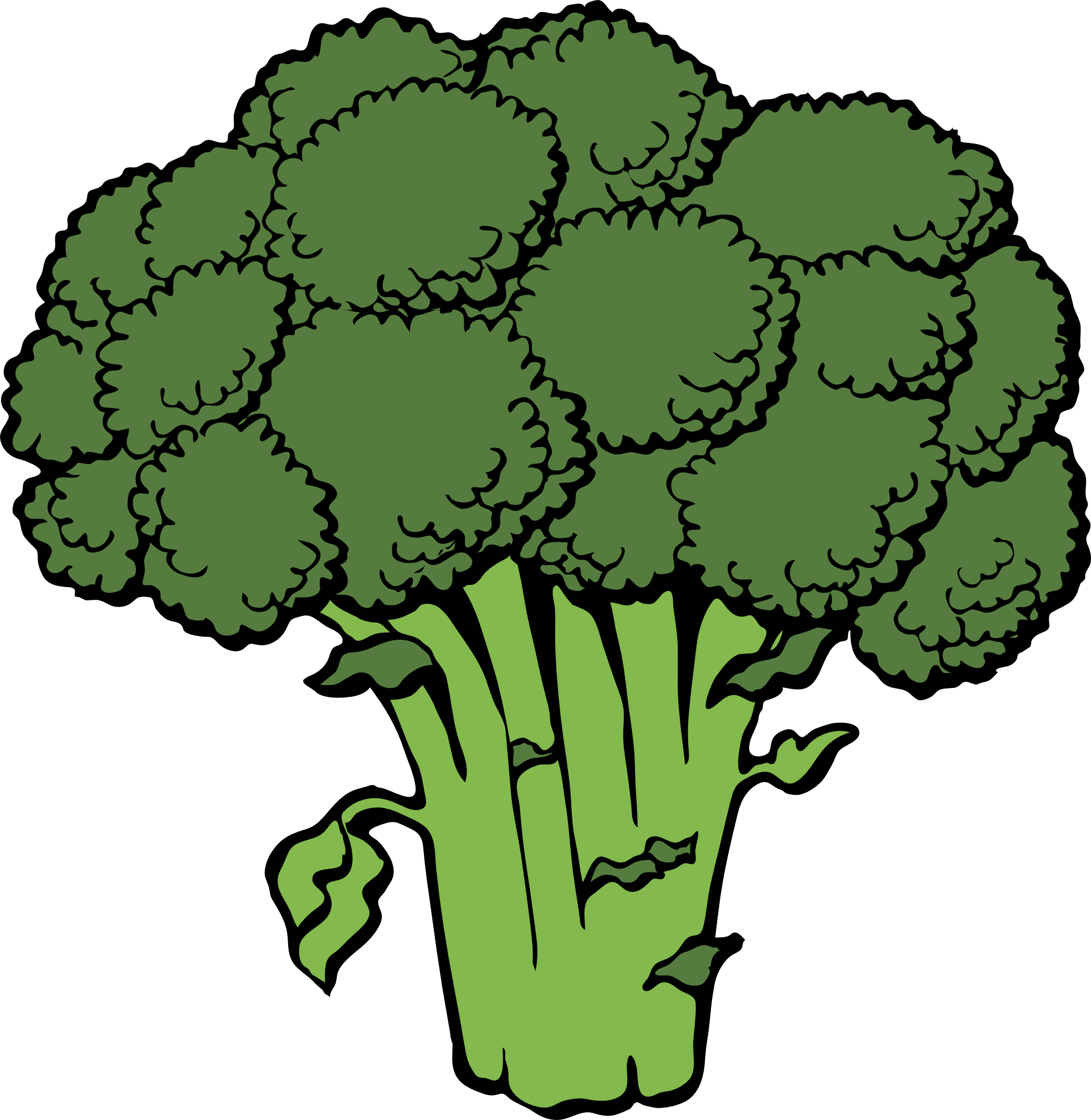 1969x2022 Collection Of Free Broccoli Drawing Petchay Download On Ui Ex