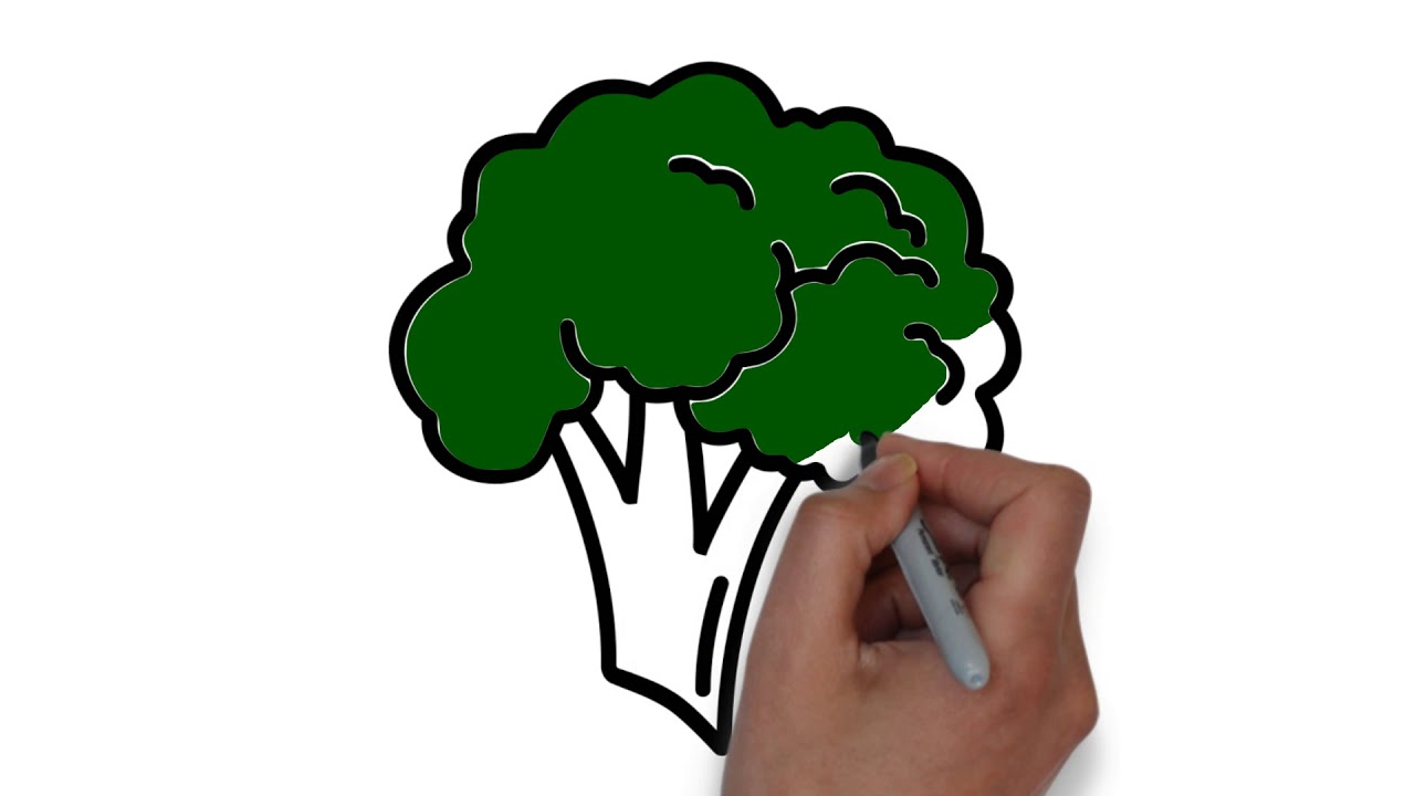 1280x720 How To Coloring Broccoli Easy Drawing For Kids