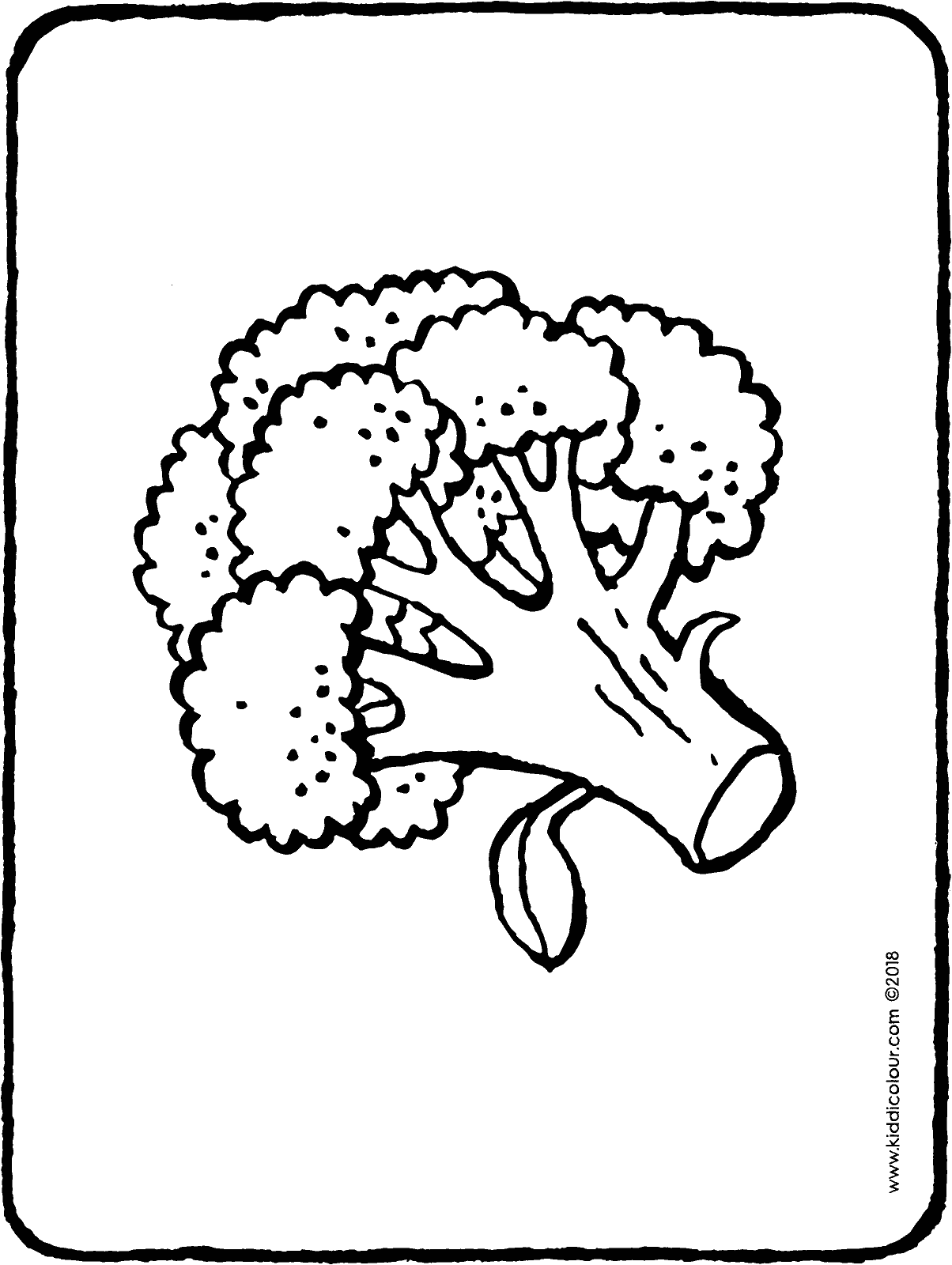 1204x1600 Broccoli
