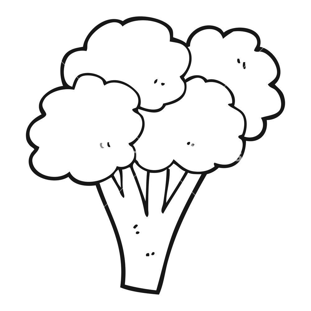 1000x1000 Freehand Drawn Black And White Cartoon Broccoli Royalty Free Stock