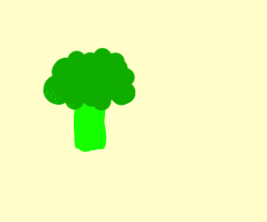300x250 Broccoli Drawing