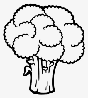 300x335 Broccoli Drawing Clipart