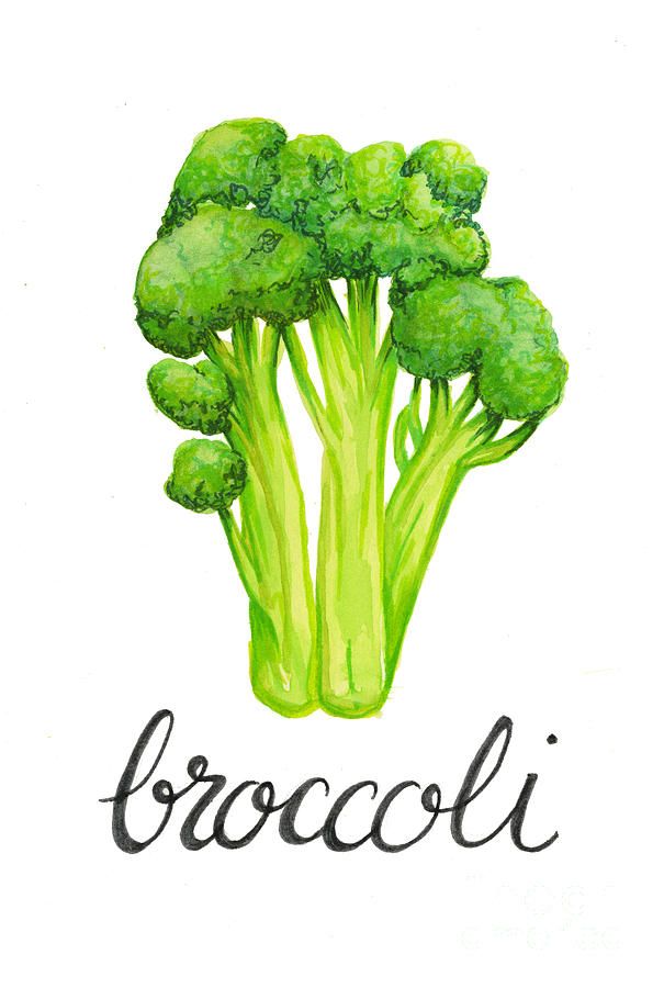 605x900 Broccoli Painting