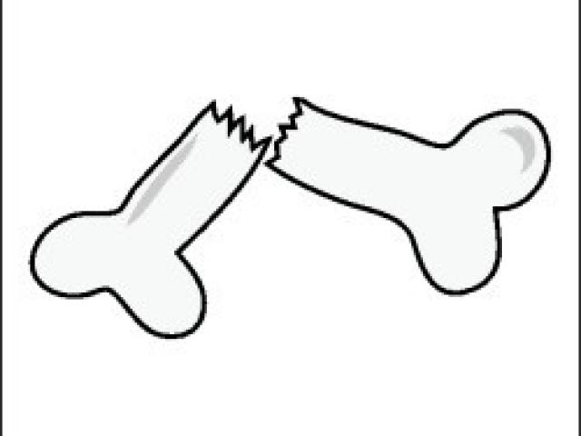 640x480 Bone Clipart Free Clip Art Stock Illustrations