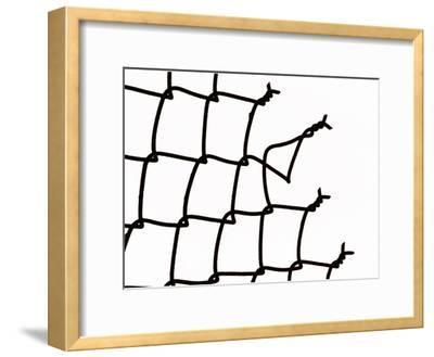 400x329 Broken Chain Link Fence Photographic Print