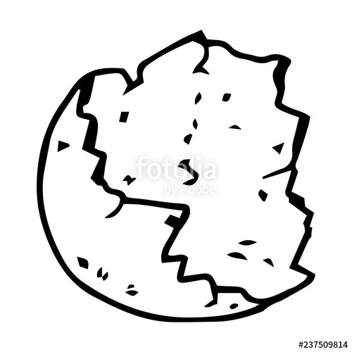 500x500 Shell Of The Eggs Hand Drawn Vector Illustration Of Egg Shell