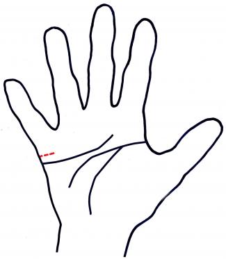 325x373 Palm Reading Marriage Lines Lovetoknow