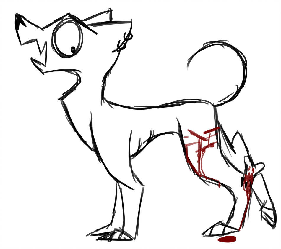 951x840 Dog With A Broken Leg