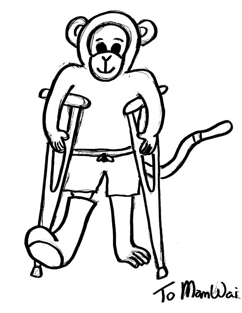 786x1017 Monkey With Broken Leg