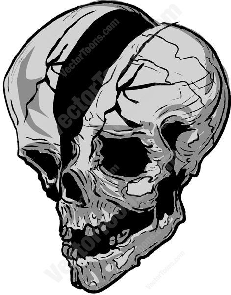 471x600 Decaying Cracked In Half Skull
