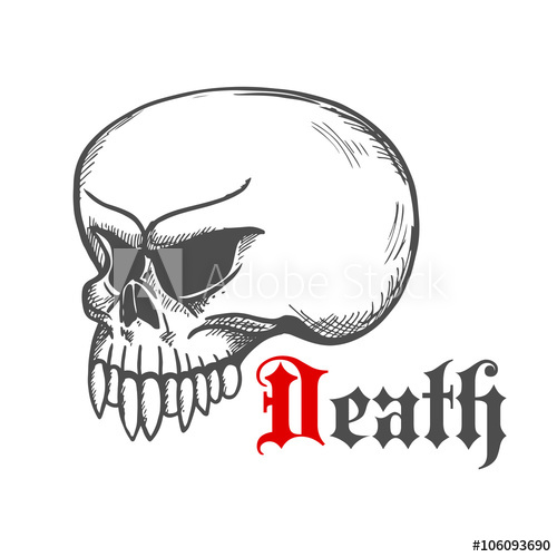 500x500 Terrifying Monster Skull Sketch Of Gray Cracked Skull Without